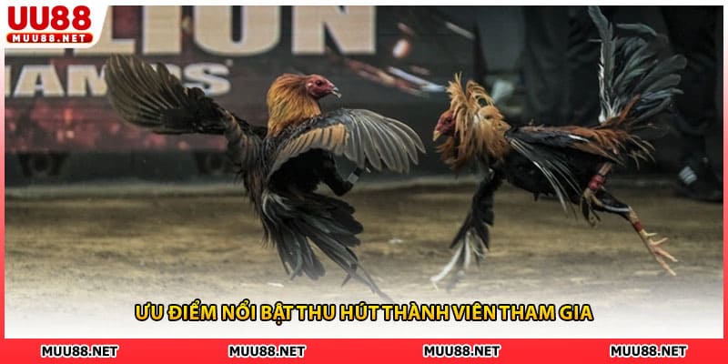 Ưu điểm nổi bật thu hút thành viên tham gia